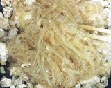 四川風☆鶏ひき肉と豆腐の春雨豆板醤炒め作り方6写真