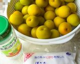 梅干し作り～初めてでも出来ました！作り方1写真
