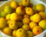 梅干し作り～初めてでも出来ました！作り方3写真