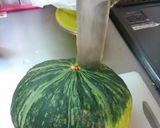 農家直伝♪カボチャの切り方のコツ作り方2写真