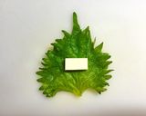 さっぱり大葉*鶏チーズ巾着作り方2写真