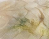 市販の餃子で♪簡単!白菜ロール餃子作り方5写真