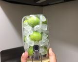 【漢の料理】簡単梅シロップ作り方5写真