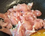 チキンとココナッツミルクのカレー作り方3写真