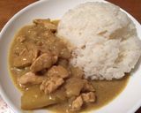 チキンとココナッツミルクのカレー作り方7写真