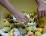 ＊梅干し・南高梅を昔ながらの漬け方で＊作り方13写真