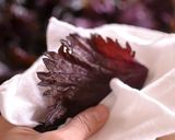 赤しそビネガーシロップ作り方4写真