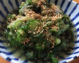 らっきょう酢で簡単！キュウリの酢の物作り方4写真