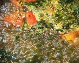 香菜とセロリとトマトのスープ作り方11写真