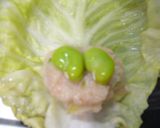 ░3種類の豆入りヘルシーロールキャベツ░作り方4写真