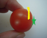 白だしひとつで完成！プチトマトのおひたし作り方1写真