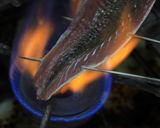 炙りかつおにんにく大葉タレ作り方7写真