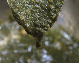 炙りかつおにんにく大葉タレ作り方23写真