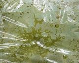 米粉で抹茶ういろう作り方7写真