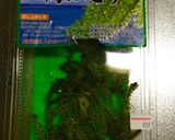 簡単★夏バテ予防の山芋と海ぶどう★作り方1写真