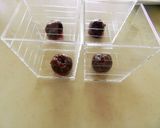 ３つの味とカラ−を楽しむゼリー作り方1写真