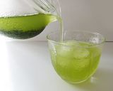 氷水出し緑茶の作り方～エピガロカテキン作り方3写真
