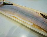 ハモ(鱧)の湯引き＆炙り作り方1写真