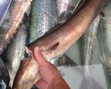 ハモの天ぷら作り方1写真