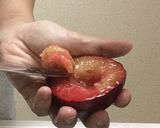 農家直伝!すももの食べ方・家族用作り方5写真
