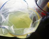 ジップロックで炭酸ジュースの簡単かき氷♪作り方1写真