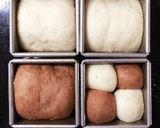 75mmミニキューブ型で2色の正角パン作り方14写真