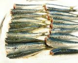 イワシ(真鰯)の生姜煮作り方1写真