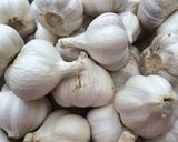 にんにくの紅生姜酢漬け【保存】作り方1写真