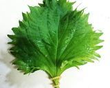 ∞長持ちする∞しその保存の仕方∞作り方7写真