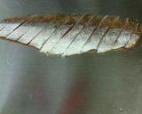炙りカマス(焼き霜造り)と骨せんべい作り方6写真