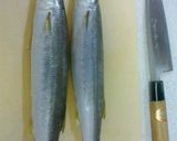 炙りカマス(焼き霜造り)と骨せんべい作り方1写真