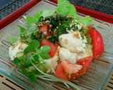 豆腐と大葉タレの夏野菜たっぷりサラダ作り方6写真