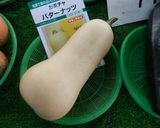 バターナッツでっかぼちゃポタージュスープ作り方1写真
