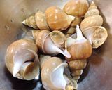 プロ直伝！美味しい！ツブ貝の処理と貝煮作り方2写真