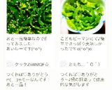 お弁当に♡レンジでチン♪ピーマンのナムル作り方6写真