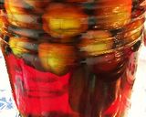 ローズヒップ梅酒作り方7写真
