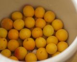 【さくっとマクロビ】梅干の作り方（前半）作り方7写真