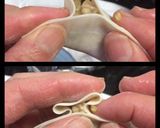 簡単綺麗な餃子の包み方作り方5写真