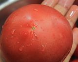 完熟トマトでミートソース作り方7写真
