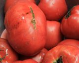 完熟トマトでミートソース作り方6写真