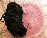 自家製梅干し作り方9写真