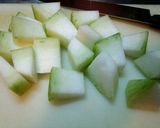 簡単冬瓜の煮物作り方1写真