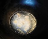 鶏軟骨のから揚げ作り方3写真