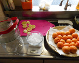 夏はあんず酒！簡単あんず酒作り方作り方6写真