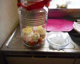 夏はあんず酒！簡単あんず酒作り方作り方7写真