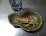 簡単、ミョウガの甘酢和え作り方4写真