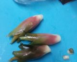 ミョウガの酢漬け作り方1写真
