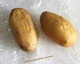 じゃが芋をレンジで茹でる法作り方8写真