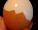 夏おでん トマト風味作り方3写真
