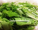 水菜の新鮮保存法作り方2写真